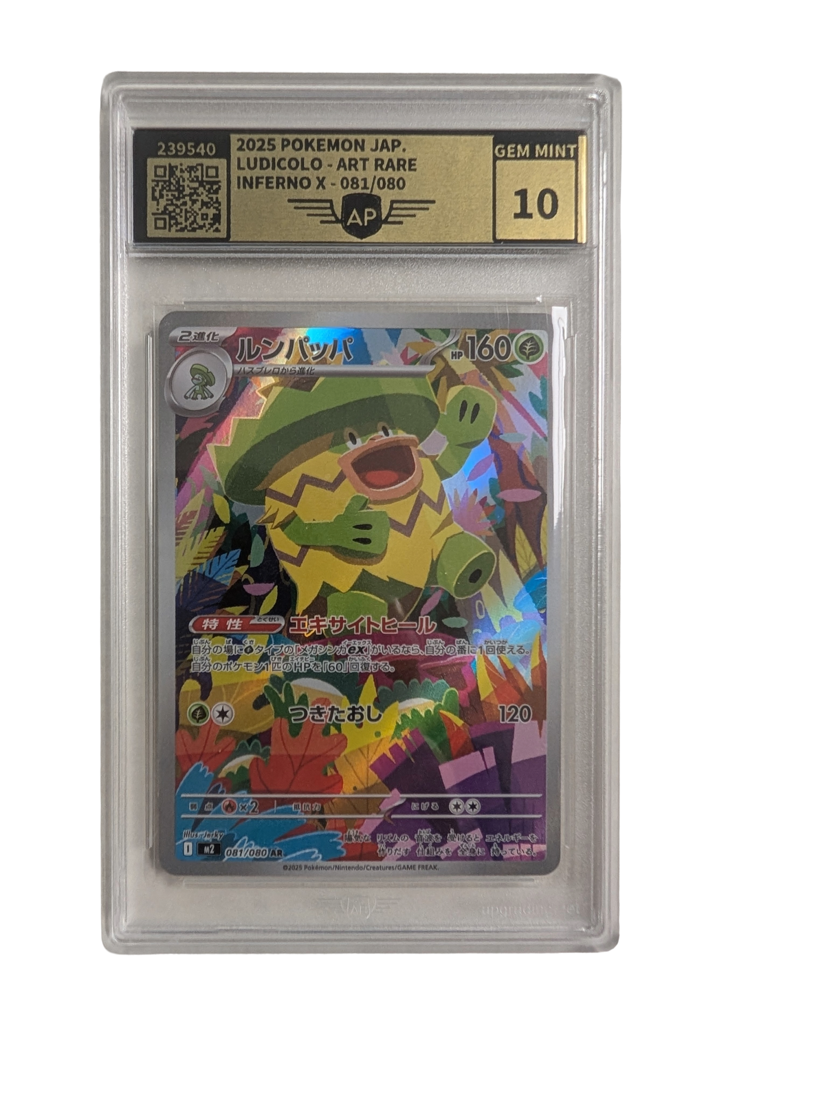 Pokémon - Ludicolo AR #081 (Japanisch) - AP 10